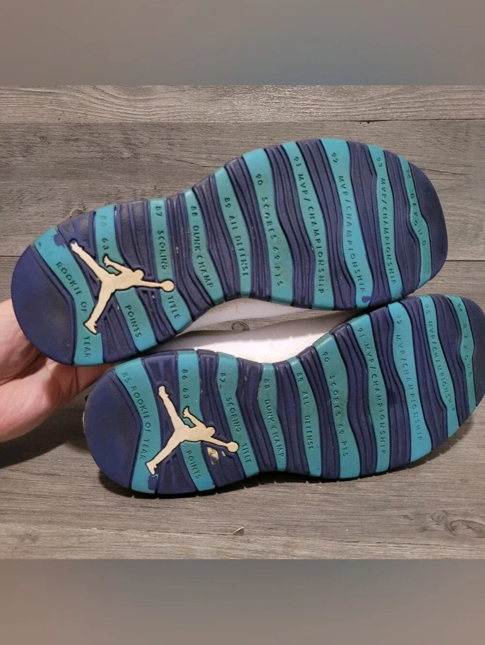 air jordan 10 retro mens size 11 charlotte hornets 310805-107